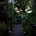 Green Point\'S Snug - Indulge In An Urban Oasis