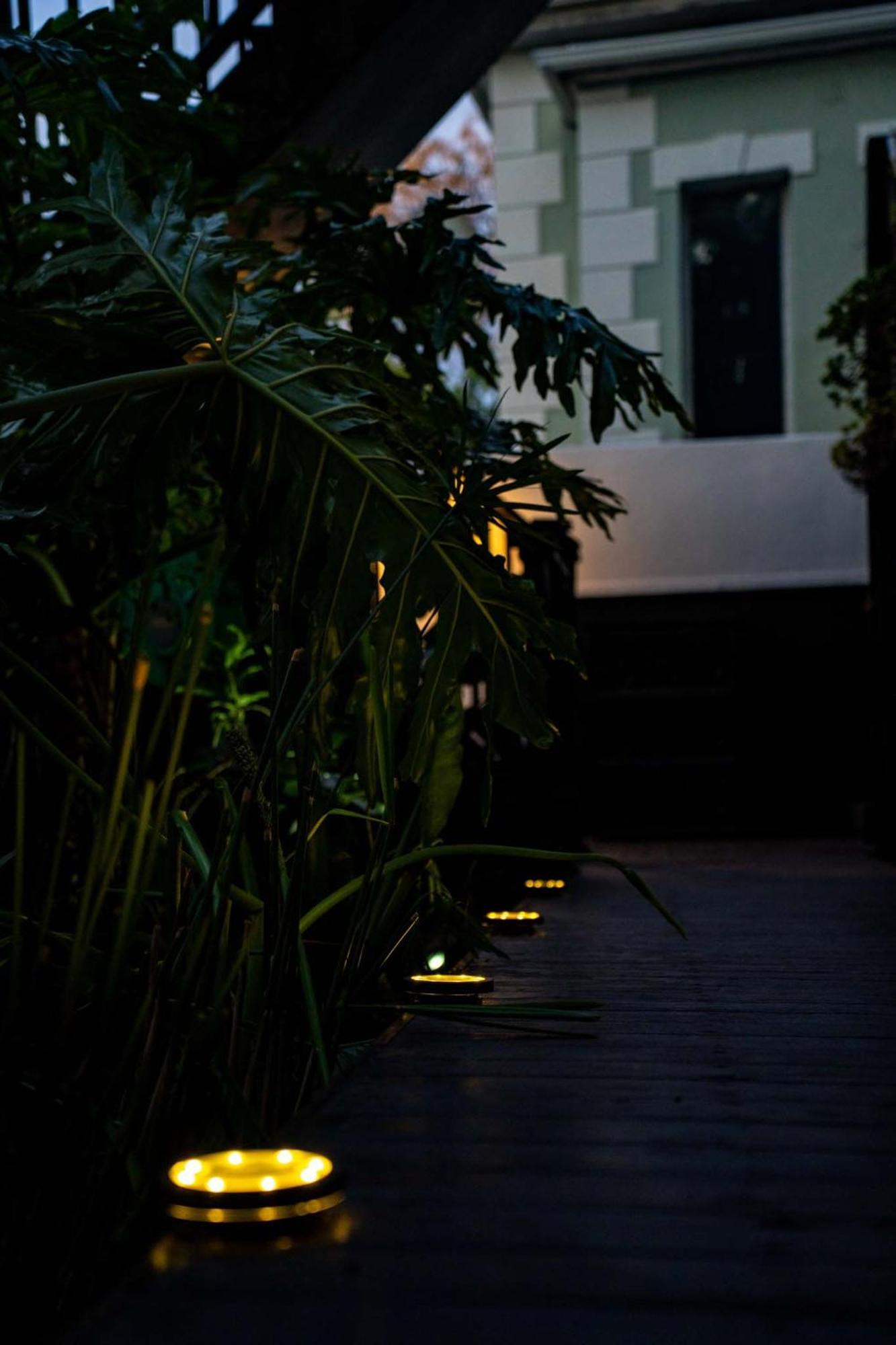 Point's Snug - Indulge In An Urban Oasis Appartement Le Cap